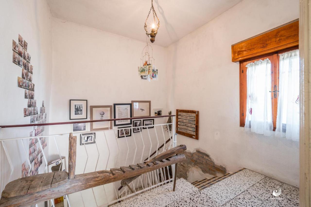 Selvatica50 B&B Nonantola Eksteriør billede