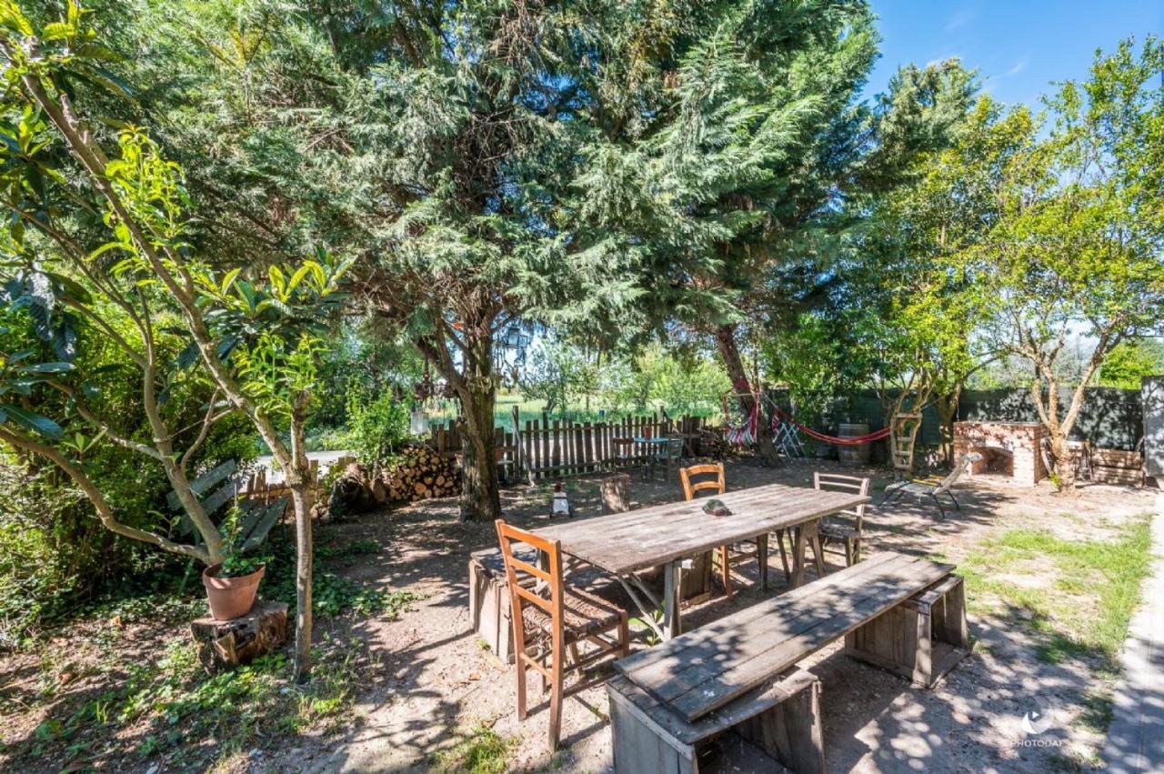 Selvatica50 B&B Nonantola Eksteriør billede