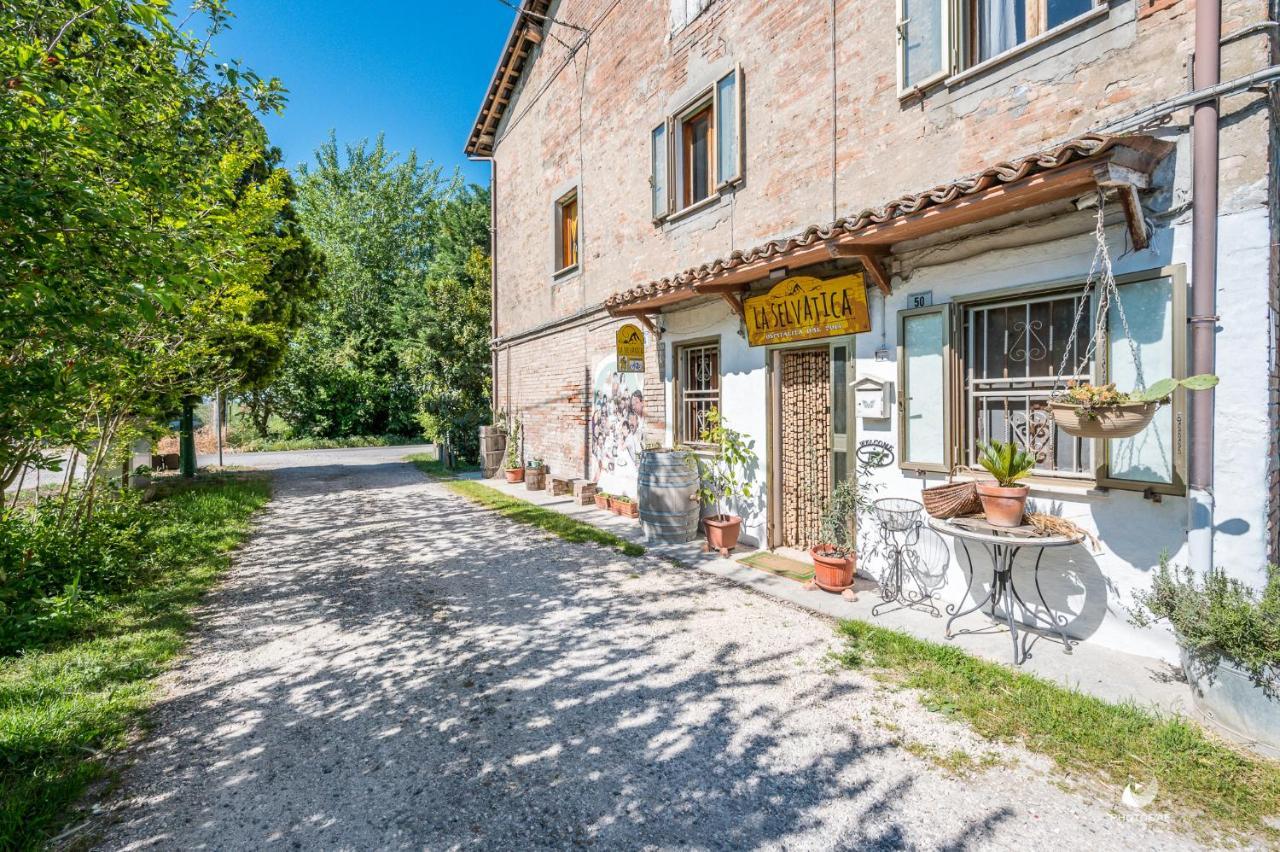 Selvatica50 B&B Nonantola Eksteriør billede